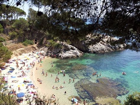 platja de la solsida|Playa de La Solsida de Altea, una increíble cala virgen